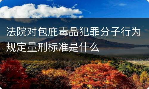 法院对包庇毒品犯罪分子行为规定量刑标准是什么