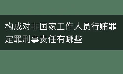 构成对非国家工作人员行贿罪定罪刑事责任有哪些