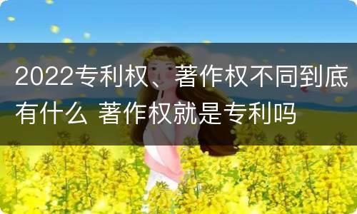 2022专利权、著作权不同到底有什么 著作权就是专利吗