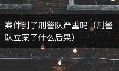 案件到了刑警队严重吗（刑警队立案了什么后果）