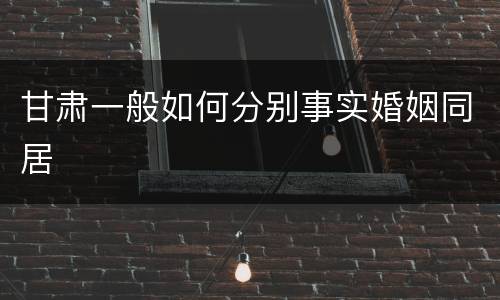 甘肃一般如何分别事实婚姻同居