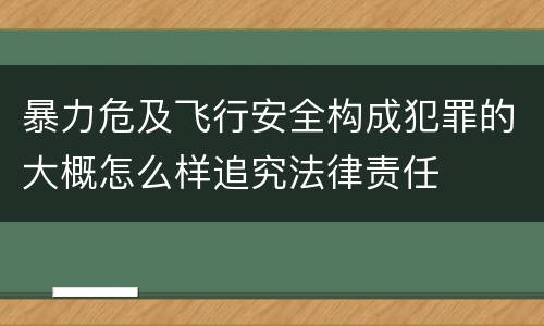 暴力危及飞行安全构成犯罪的大概怎么样追究法律责任