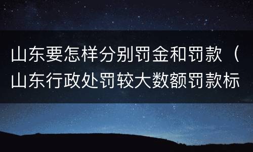 山东要怎样分别罚金和罚款（山东行政处罚较大数额罚款标准）