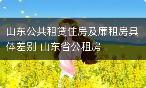 山东公共租赁住房及廉租房具体差别 山东省公租房