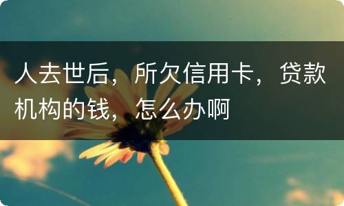 人去世后，所欠信用卡，贷款机构的钱，怎么办啊
