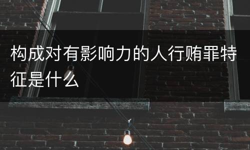 构成对有影响力的人行贿罪特征是什么