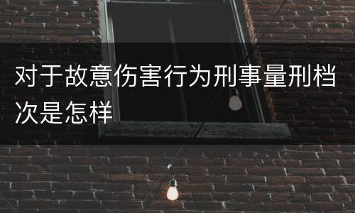 对于故意伤害行为刑事量刑档次是怎样