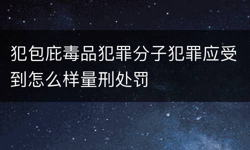 犯包庇毒品犯罪分子犯罪应受到怎么样量刑处罚