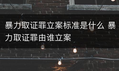 暴力取证罪立案标准是什么 暴力取证罪由谁立案
