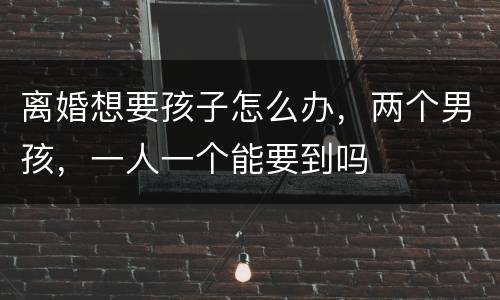 离婚想要孩子怎么办，两个男孩，一人一个能要到吗