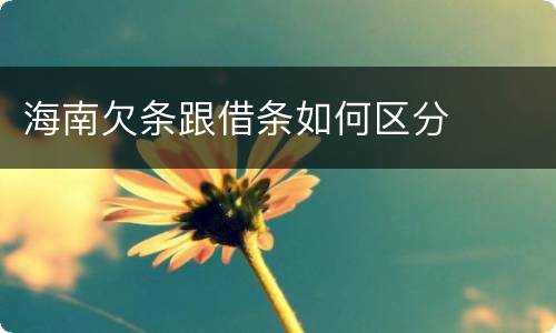 海南欠条跟借条如何区分