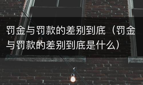 罚金与罚款的差别到底（罚金与罚款的差别到底是什么）