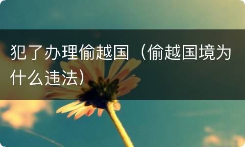 犯了办理偷越国（偷越国境为什么违法）