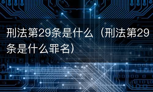 刑法第29条是什么（刑法第29条是什么罪名）
