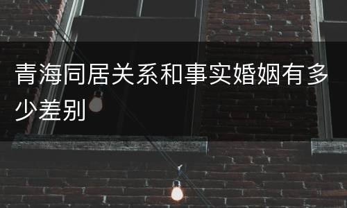 青海同居关系和事实婚姻有多少差别
