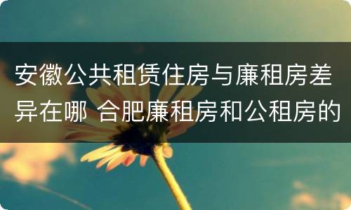 安徽公共租赁住房与廉租房差异在哪 合肥廉租房和公租房的区别
