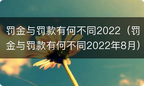 罚金与罚款有何不同2022（罚金与罚款有何不同2022年8月）