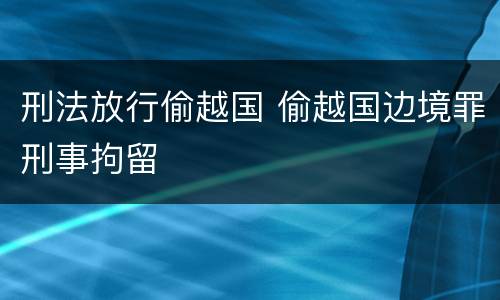 刑法放行偷越国 偷越国边境罪刑事拘留