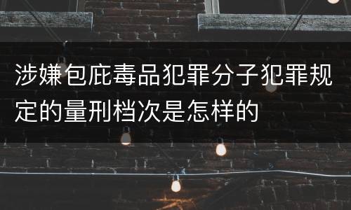 涉嫌包庇毒品犯罪分子犯罪规定的量刑档次是怎样的