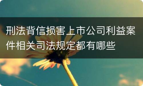 刑法背信损害上市公司利益案件相关司法规定都有哪些
