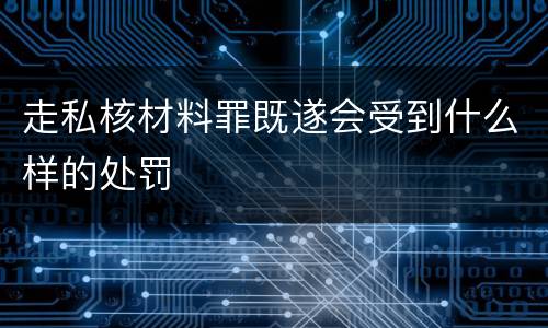 走私核材料罪既遂会受到什么样的处罚