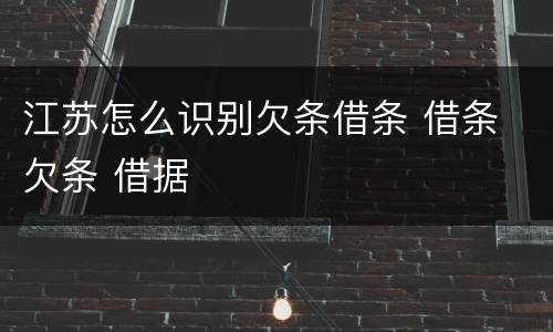江苏怎么识别欠条借条 借条 欠条 借据