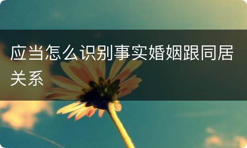 应当怎么识别事实婚姻跟同居关系