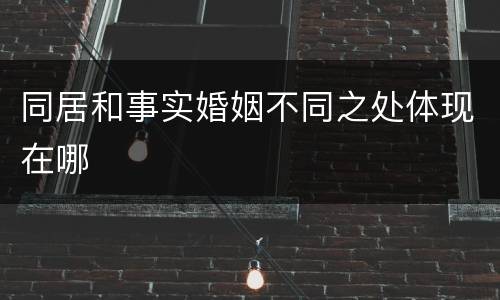 同居和事实婚姻不同之处体现在哪