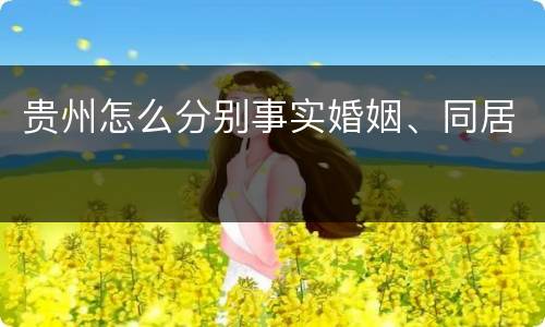 贵州怎么分别事实婚姻、同居