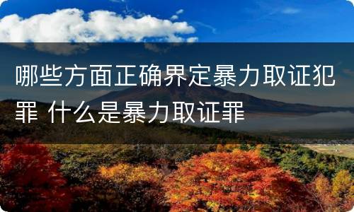 哪些方面正确界定暴力取证犯罪 什么是暴力取证罪