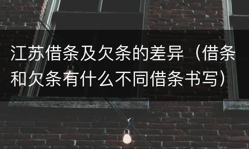 江苏借条及欠条的差异（借条和欠条有什么不同借条书写）