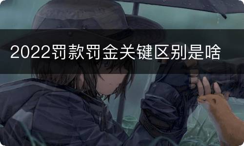 2022罚款罚金关键区别是啥