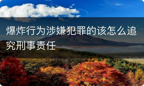 爆炸行为涉嫌犯罪的该怎么追究刑事责任