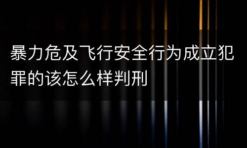 暴力危及飞行安全行为成立犯罪的该怎么样判刑