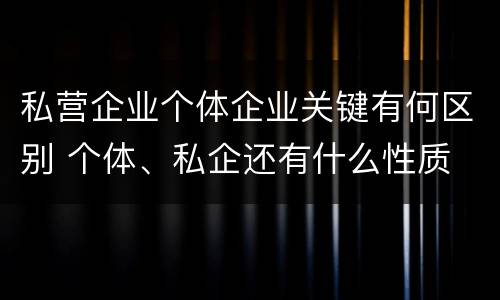 私营企业个体企业关键有何区别 个体、私企还有什么性质