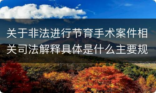 关于非法进行节育手术案件相关司法解释具体是什么主要规定