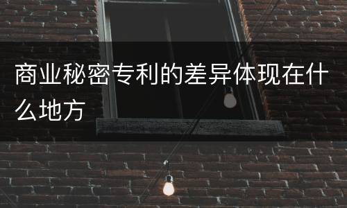 商业秘密专利的差异体现在什么地方