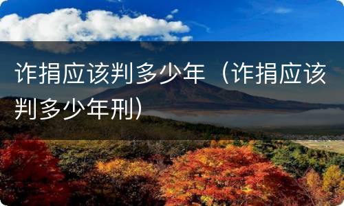 诈捐应该判多少年（诈捐应该判多少年刑）