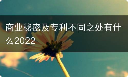 商业秘密及专利不同之处有什么2022