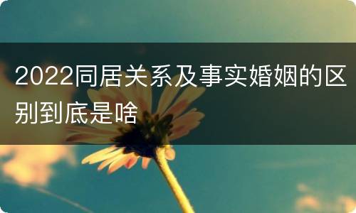 2022同居关系及事实婚姻的区别到底是啥
