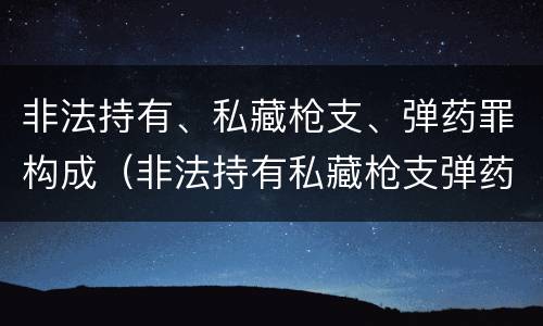 非法持有、私藏枪支、弹药罪构成（非法持有私藏枪支弹药罪的犯罪主体）
