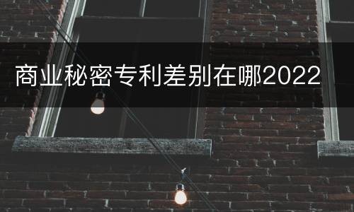 商业秘密专利差别在哪2022