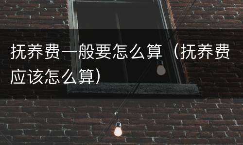 抚养费一般要怎么算（抚养费应该怎么算）