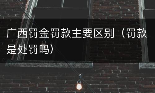 广西罚金罚款主要区别（罚款是处罚吗）