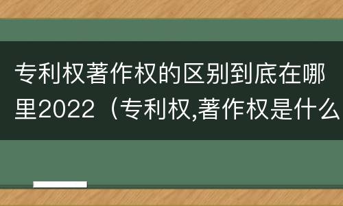 专利权著作权的区别到底在哪里2022（专利权,著作权是什么）