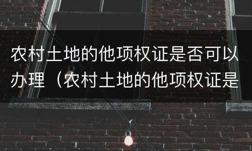 农村土地的他项权证是否可以办理（农村土地的他项权证是否可以办理贷款）