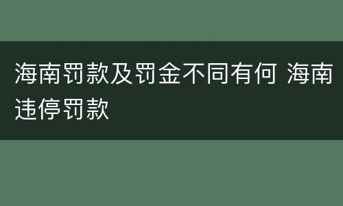 海南罚款及罚金不同有何 海南违停罚款