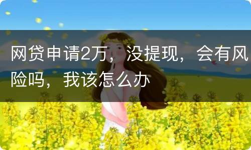 网贷申请2万，没提现，会有风险吗，我该怎么办