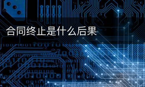 合同终止是什么后果