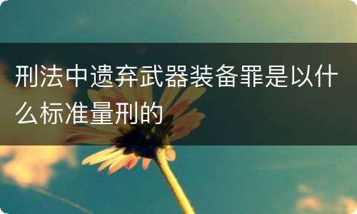 刑法中遗弃武器装备罪是以什么标准量刑的